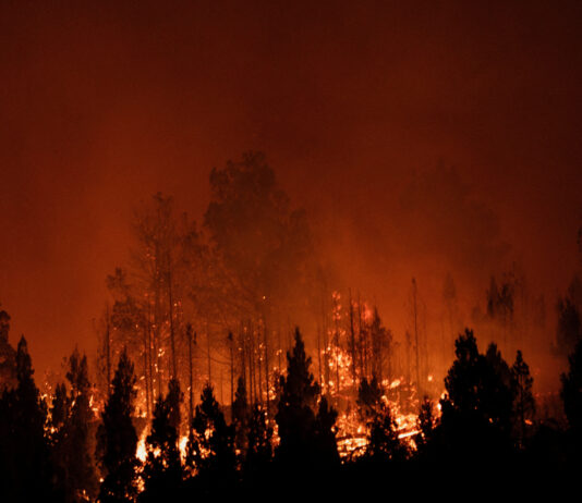 Căldură record și incendii devastatoare marchează începutul anului 2026 în emisfera sudică