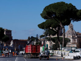 Roma taie pini seculari de pe bulevardul care duce spre Colosseum, din motive de siguranță