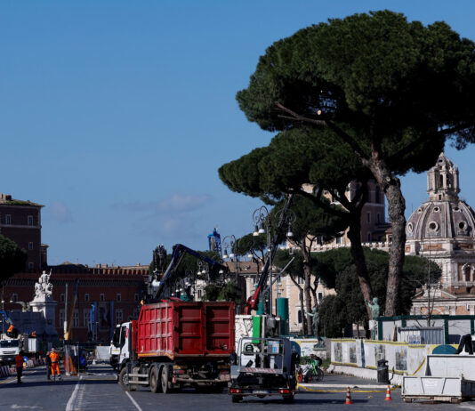 Roma taie pini seculari de pe bulevardul care duce spre Colosseum, din motive de siguranță