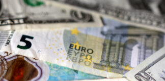 Euro ar putea deveni o monedă globală doar cu sprijin pe piața valutară