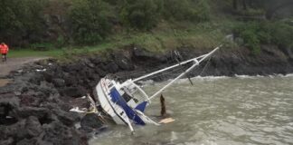 Ploi torențiale lovesc Insula de Sud a Noii Zeelande și declanșează alerte de inundații