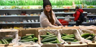 În Rusia, castravetele devine noul simbol al scumpirilor din timpul războiului