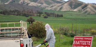 Cipru impune restricții pentru animale din cauza unui focar de febră aftoasă