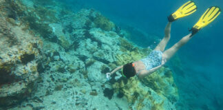 Țările din Caraibe vor să strângă 200 de milioane de dolari pentru protejarea biodiversității