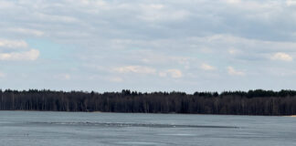 Lituania: dronă suspectă a intrat în spațiul aerian și s-a prăbușit într-un lac, lângă Belarus