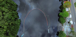 Locuitorii și fauna de pe coasta Mexicului, afectați grav de o deversare de petrol