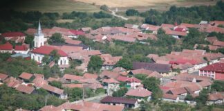 Lângă Făgăraș, o comună își conduce administrația pe WhatsApp: primarul și cetățenii, conectați direct