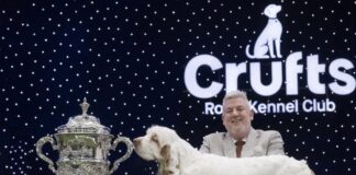 Crufts 2026: cel mai mare show canin din lume și-a desemnat câștigătorul: Bruin, Clumber Spaniel din Somerset