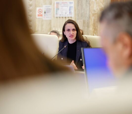 Oana Țoiu (USR): „Nu vom vota Guvernul Veștea”. Critici dure la adresa programului de guvernare Sursa: Facebook, Oana Țoiu