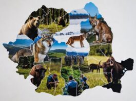 România, locul 2 mondial în top National Geographic: cele mai bune destinații de călătorie pentru conservarea naturii
