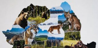 România, locul 2 mondial în top National Geographic: cele mai bune destinații de călătorie pentru conservarea naturii