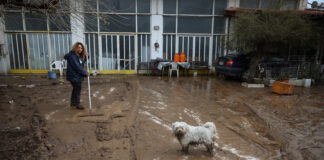 Furtună devastatoare în Grecia: un mort, zeci de case inundate și perturbări majore în trafic (VIDEO)