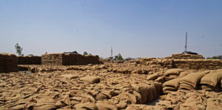 Prețurile alimentelor la nivel global vor continua să crească dacă războiul din Iran persistă