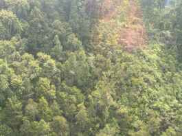 8 persoane au murit într-un accident de elicopter în provincia West Kalimantan, Indonezia, anunță autoritățile