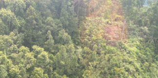 8 persoane au murit într-un accident de elicopter în provincia West Kalimantan, Indonezia, anunță autoritățile