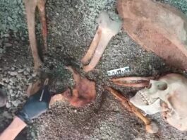 Arheologii au reconstruit cu ajutorul inteligenței artificiale imaginea unei victime din Pompei