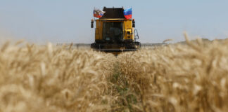 Ucraina consideră că achizițiile israeliene de cereale „furate” din Rusia nu sunt „legitime”