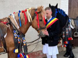 Adrian-Octavian Ghimbășan: Omul care repară „păsări de fier” și își vindecă sufletul în galopul cailor