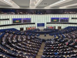 Acordul UE-Mercosur intră în vigoare provizoriu la 1 mai 2026. Eurodeputații salută decizia