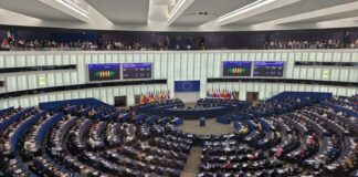 Acordul UE-Mercosur intră în vigoare provizoriu la 1 mai 2026. Eurodeputații salută decizia