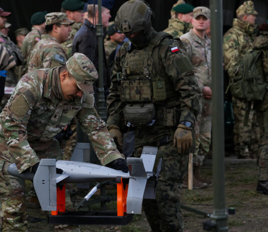 Factbox – Detalii despre trupele americane staționate în Europa