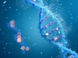 Cum poate comportamentul zilnic să „dezvăluie” cât vom trăi – descoperirea fascinantă a cercetătorilor de la Universitatea Stanford