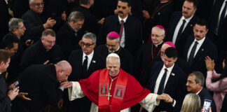 La un an de la începutul pontificatului, papa Leo își găsește „vocea clară”