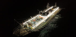 Flota chineză de pescuit din largul Argentinei: 200 de nave, suspiciuni de culegere de informații și temeri de suprapescare