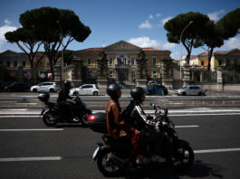 Testele din Italia și Spania ies negative în căutarea globală a hantavirusului