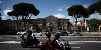 Testele din Italia și Spania ies negative în căutarea globală a hantavirusului