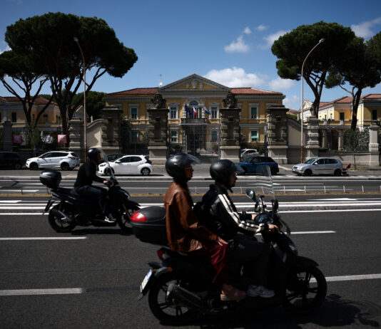 Testele din Italia și Spania ies negative în căutarea globală a hantavirusului