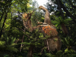 Oamenii de știință au descoperit în Thailanda cel mai mare dinozaur găsit vreodată în Asia de Sud-Est