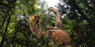 Oamenii de știință au descoperit în Thailanda cel mai mare dinozaur găsit vreodată în Asia de Sud-Est