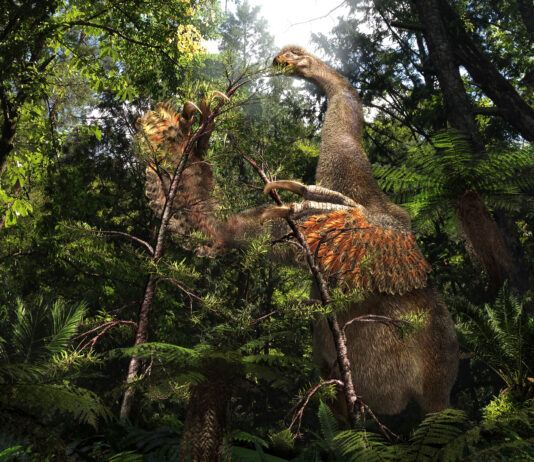 Oamenii de știință au descoperit în Thailanda cel mai mare dinozaur găsit vreodată în Asia de Sud-Est