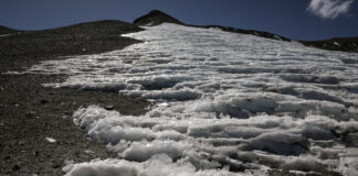 Temperaturile globale vor atinge niveluri aproape record în următorii cinci ani