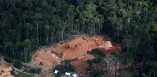 Greenpeace: Minerii ilegali extrag aur de miliarde de dolari din Amazon, în ciuda represiunii lansate de Brazilia