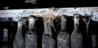 Georgia dezvăluie valoarea impresionantei colecții de 40.000 de sticle de vin a lui Stalin