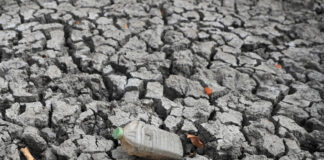 ONU avertizează asupra riscului de călduri extreme din cauza fenomenului El Niño și cere pregătire globală