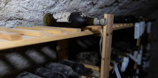 Comoară ascunsă de peste un secol: 133 de sticle de vin rare, găsite într-un castel din Cehia