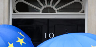 Ministrul britanic al Comerțului: revenirea în Uniunea Europeană nu ar rezolva problemele Regatului Unit