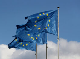 Cinci state membre ale UE propun limitarea temporară a drepturilor de vot pentru viitorii membri ai Uniunii
