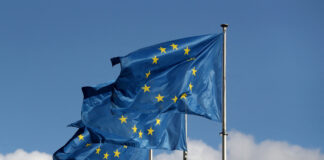 Cinci state membre ale UE propun limitarea temporară a drepturilor de vot pentru viitorii membri ai Uniunii