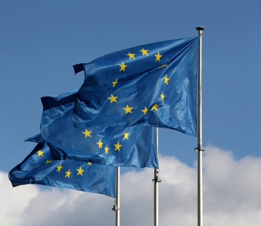 Cinci state membre ale UE propun limitarea temporară a drepturilor de vot pentru viitorii membri ai Uniunii