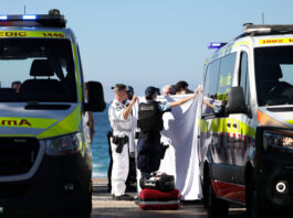 Femeie grav rănită în atac de rechin pe o plajă din Sydney, Australia