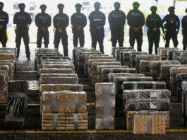 ONU avertizează: traficul global de cocaină și metamfetamină atinge niveluri record