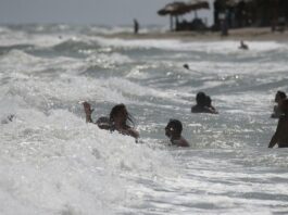 O bacterie periculoasă se înmulțește rapid în Marea Neagră