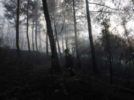 Doi morți după ce un incendiu de vegetație a distrus o casă în nordul Greciei