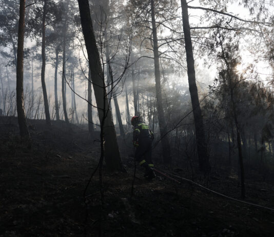 Doi morți după ce un incendiu de vegetație a distrus o casă în nordul Greciei
